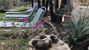 A garden area with lounge chairs, a bird bath, and various plants. - Casa Del Sol (Carpinteria)