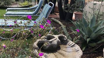 Jardin