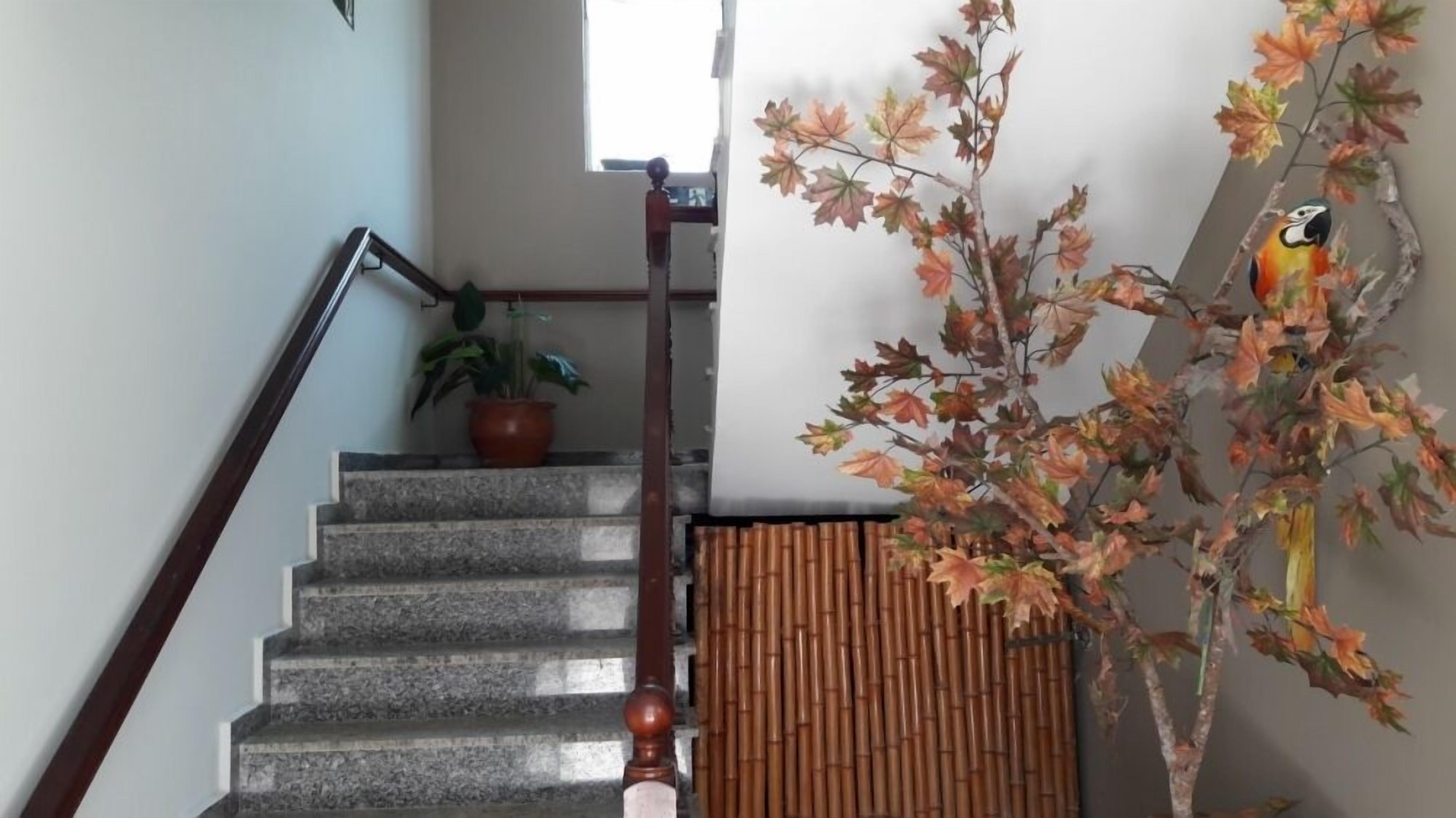 A staircase with a wooden handrail, a potted plant, and a wall-mounted decorative tree with autumn leaves.