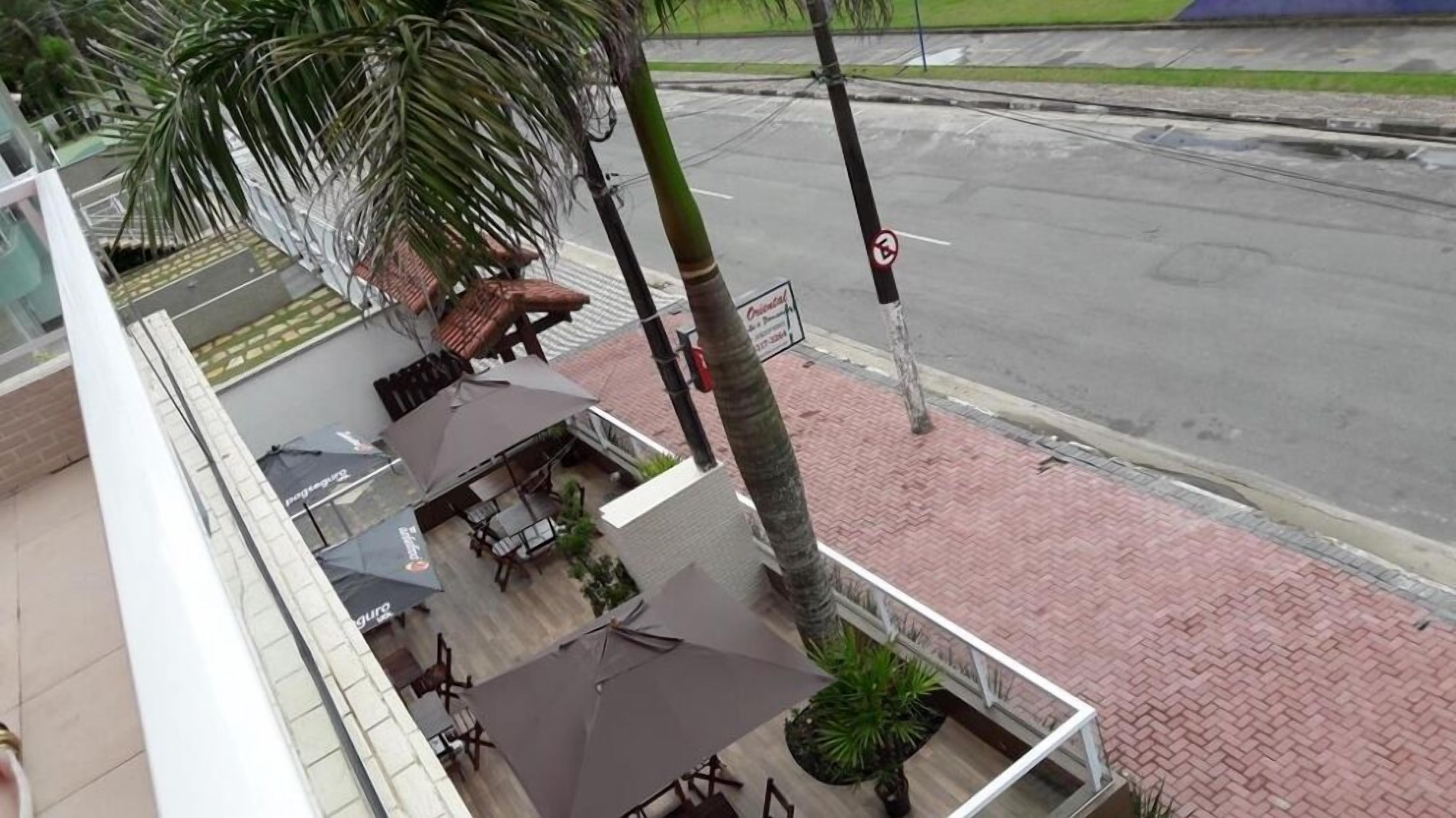 Un espace patio avec des sièges d’extérieur et un palmier.