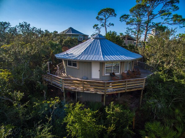 Une maison avec un toit en métal, une terrasse en bois et entourée d’une végétation luxuriante.