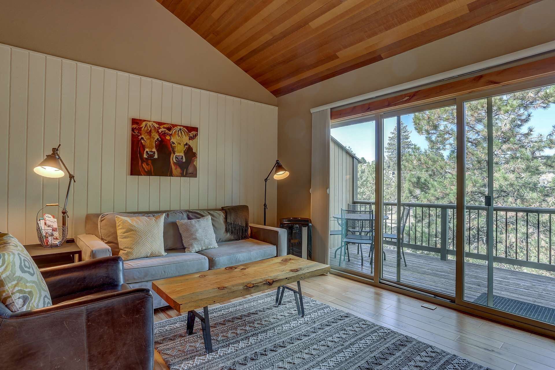 Télévision, cheminée, lecteur de DVD