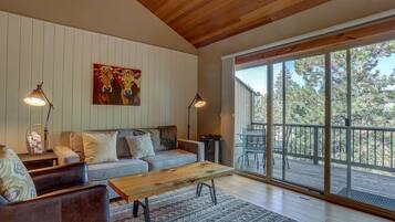 Télévision, cheminée, lecteur de DVD