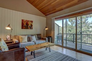 Televisión, chimenea y reproductor de DVD 