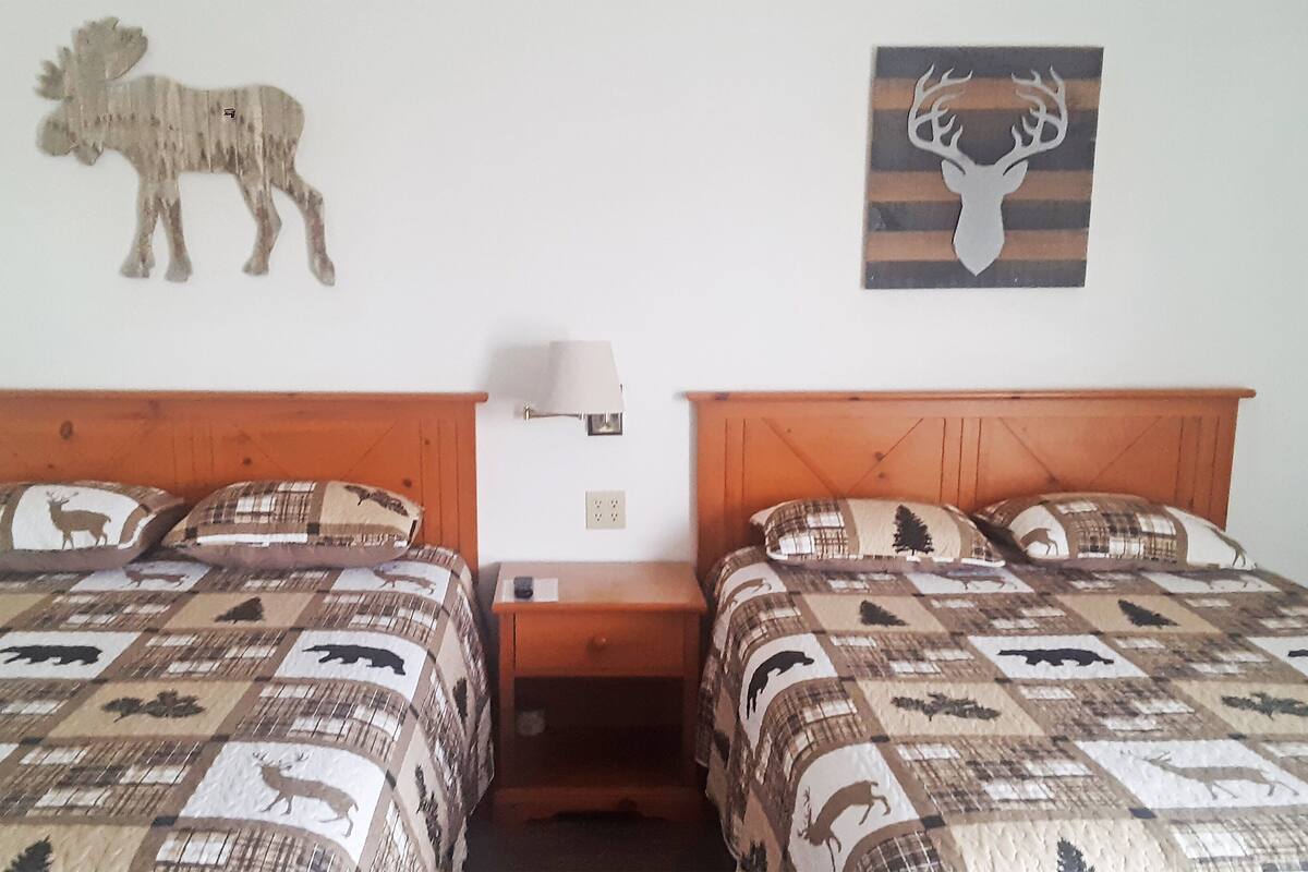 A double room with two beds, each with a patterned quilt featuring animal prints. There is a nightstand with a lamp between the beds, and a wall-mounted light fixture above the nightstand.
