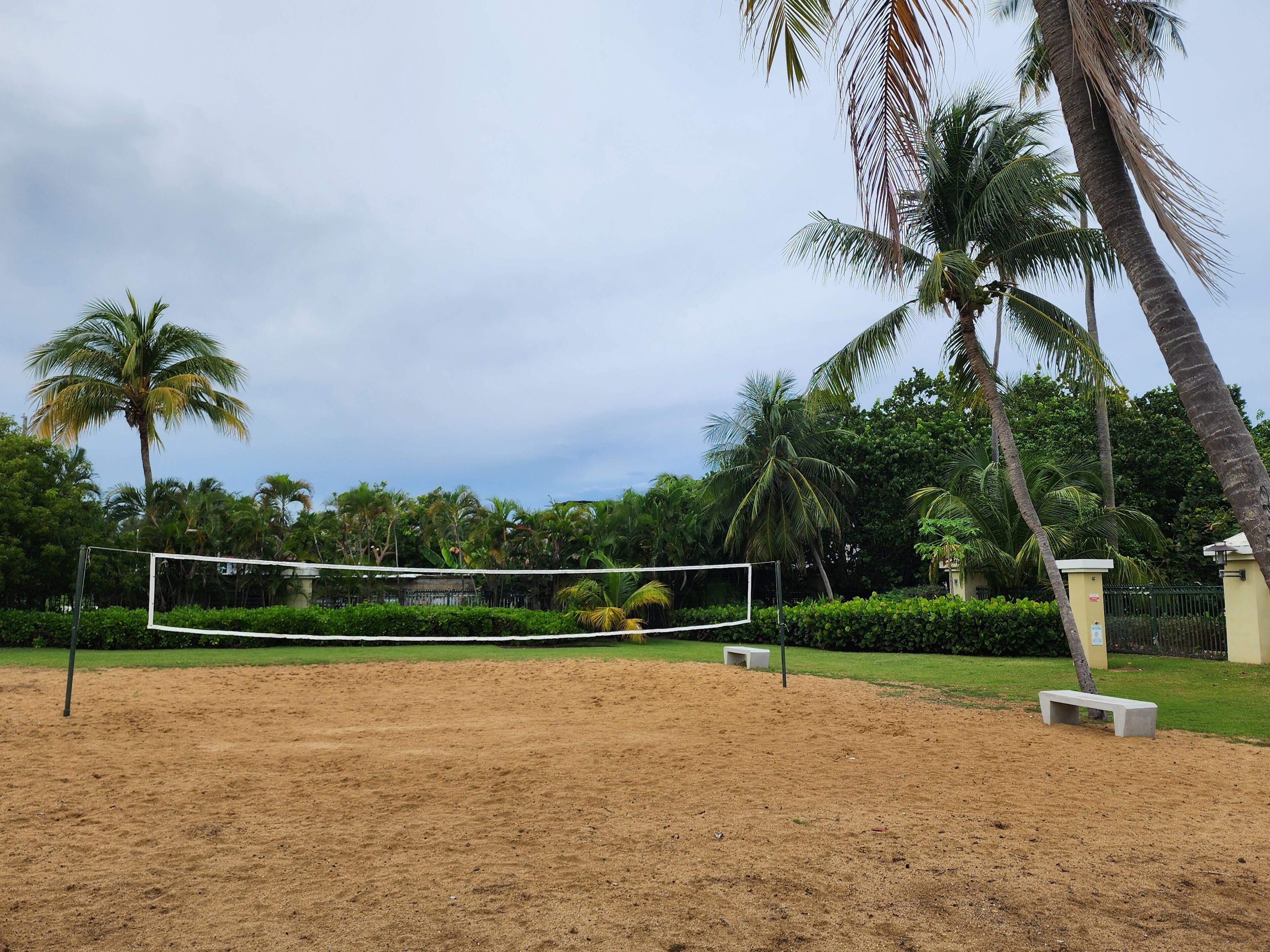 Un terrain de volley-ball sablonneux, avec un filet, entouré de palmiers et de verdure.