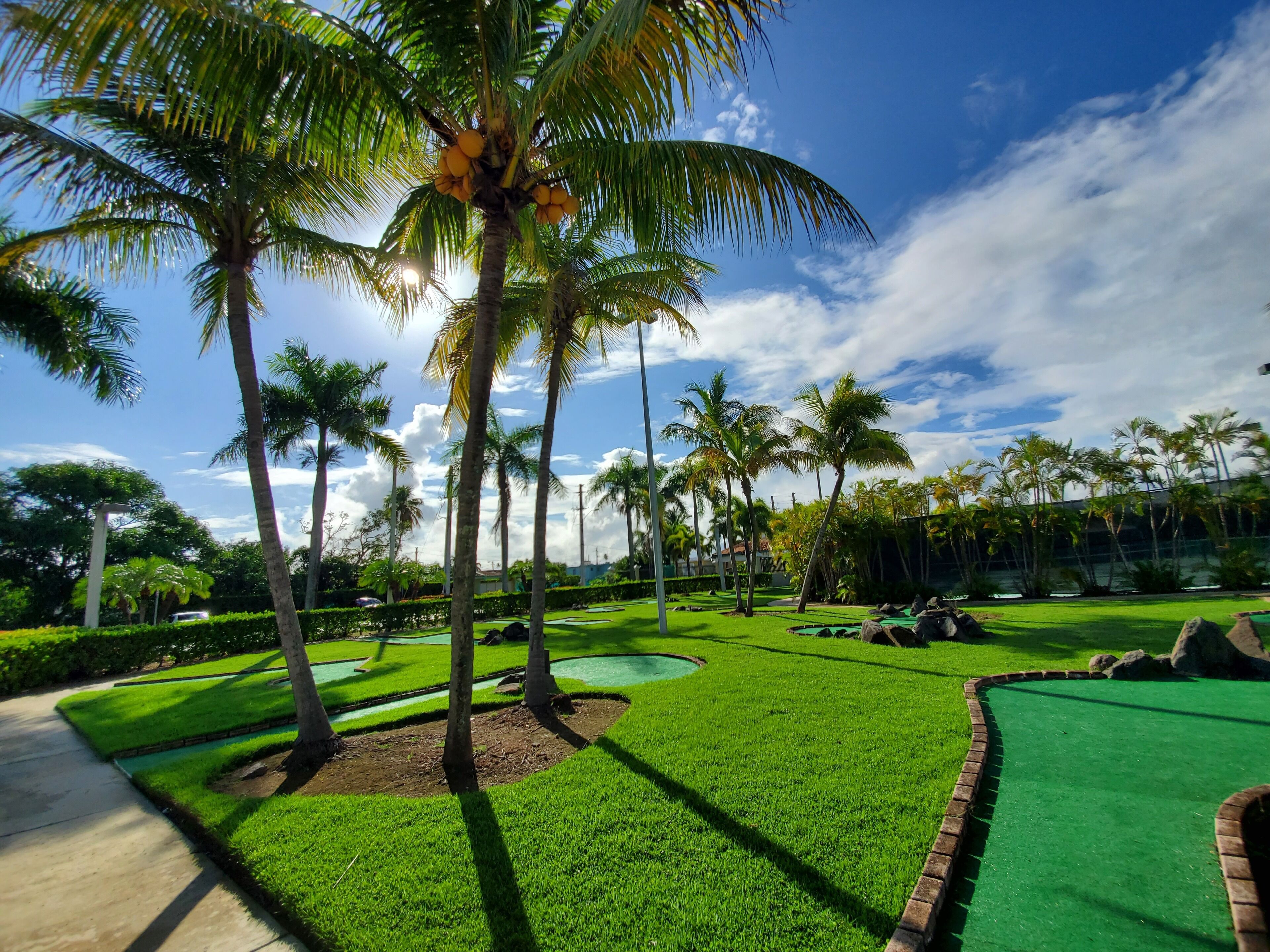 Un terrain de golf bien entretenu, avec une pelouse verdoyante, des palmiers et un ciel dégagé.
