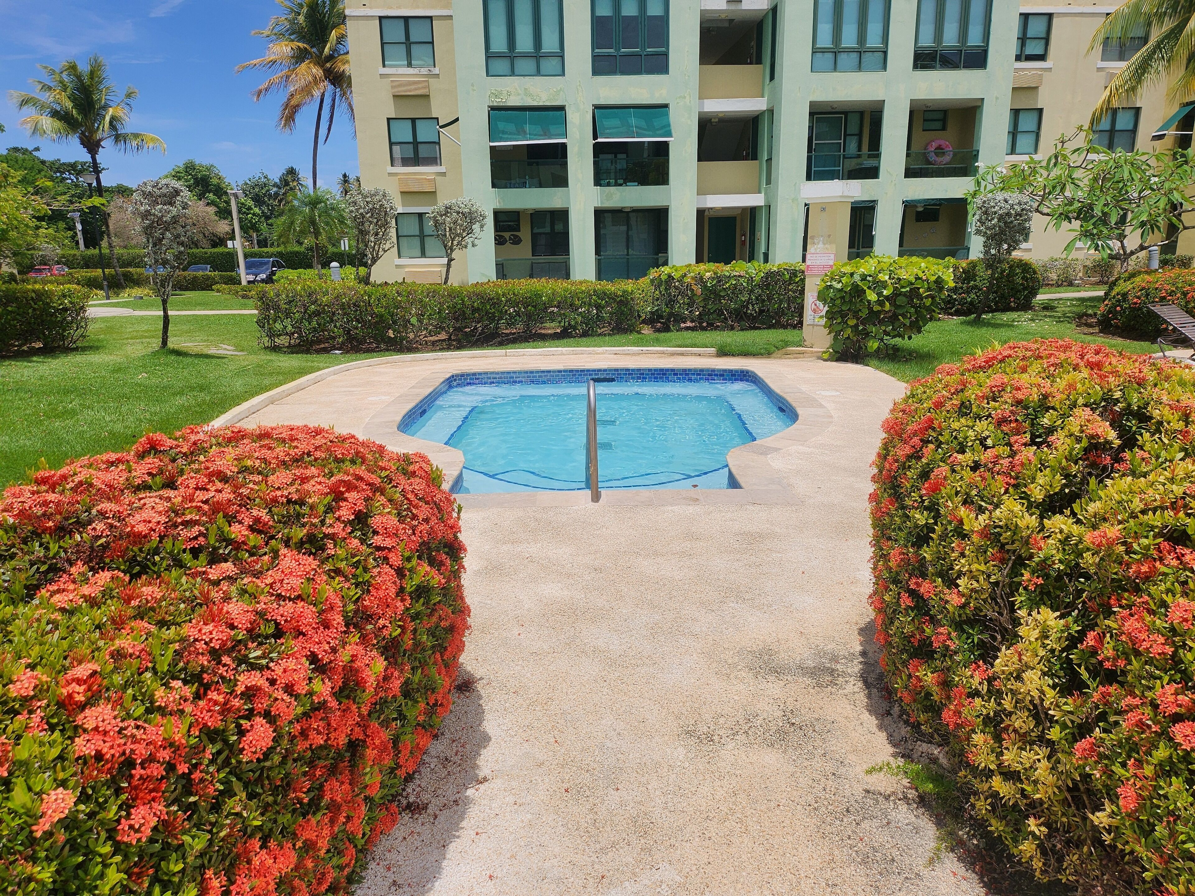 A swimming pool surrounded by manicured bushes and a building in the background.