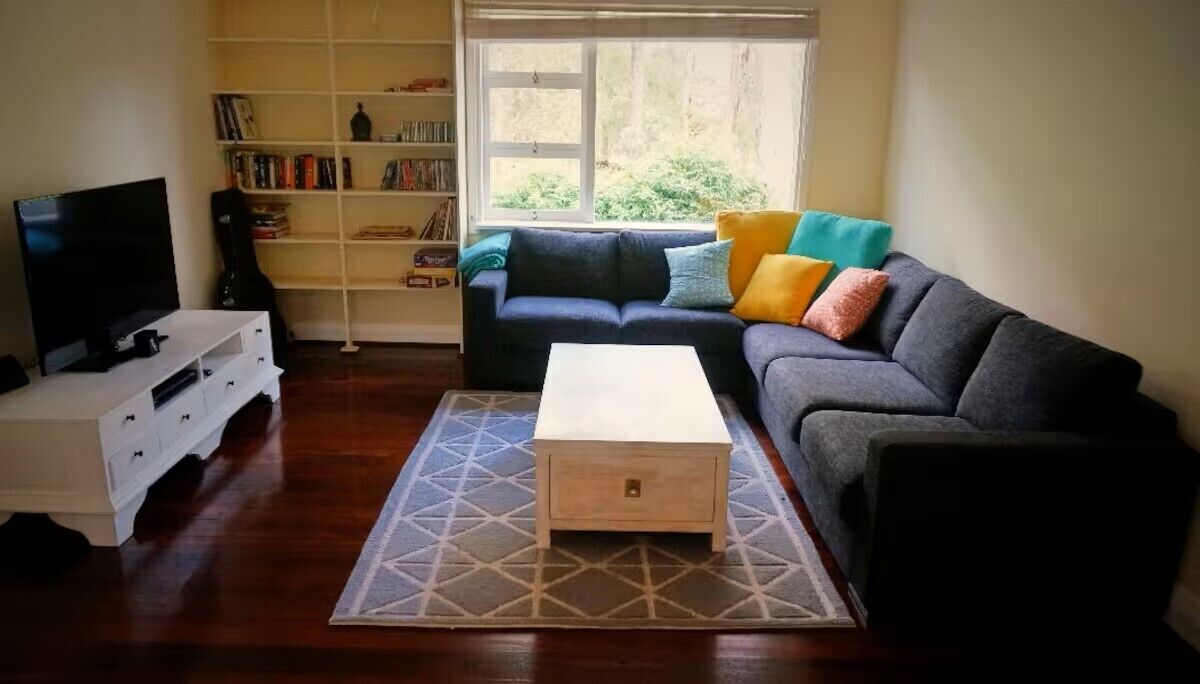 Smart TV, fireplace, DVD player, books