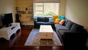 Smart TV, fireplace, DVD player, books