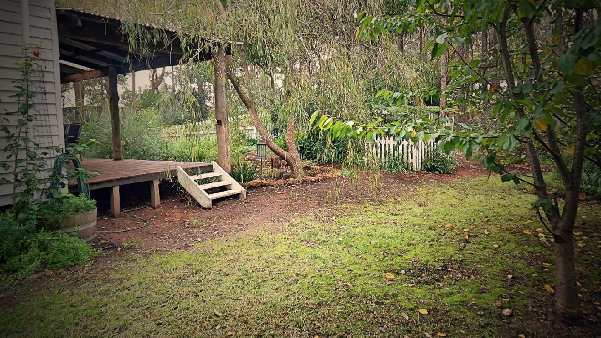 Banana Pancakes - Walk to Town — image 12