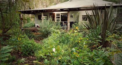 Banana Pancakes - Walk to Town