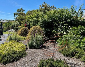 Property grounds - The Cosy Bungalow - very private, romantic haven. (Portarlington)