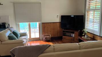 Smart TV, DVD player, video library