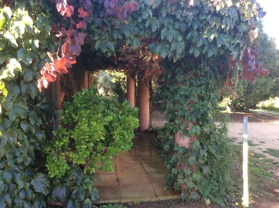 El yurta situado en la hermosa O'Connell