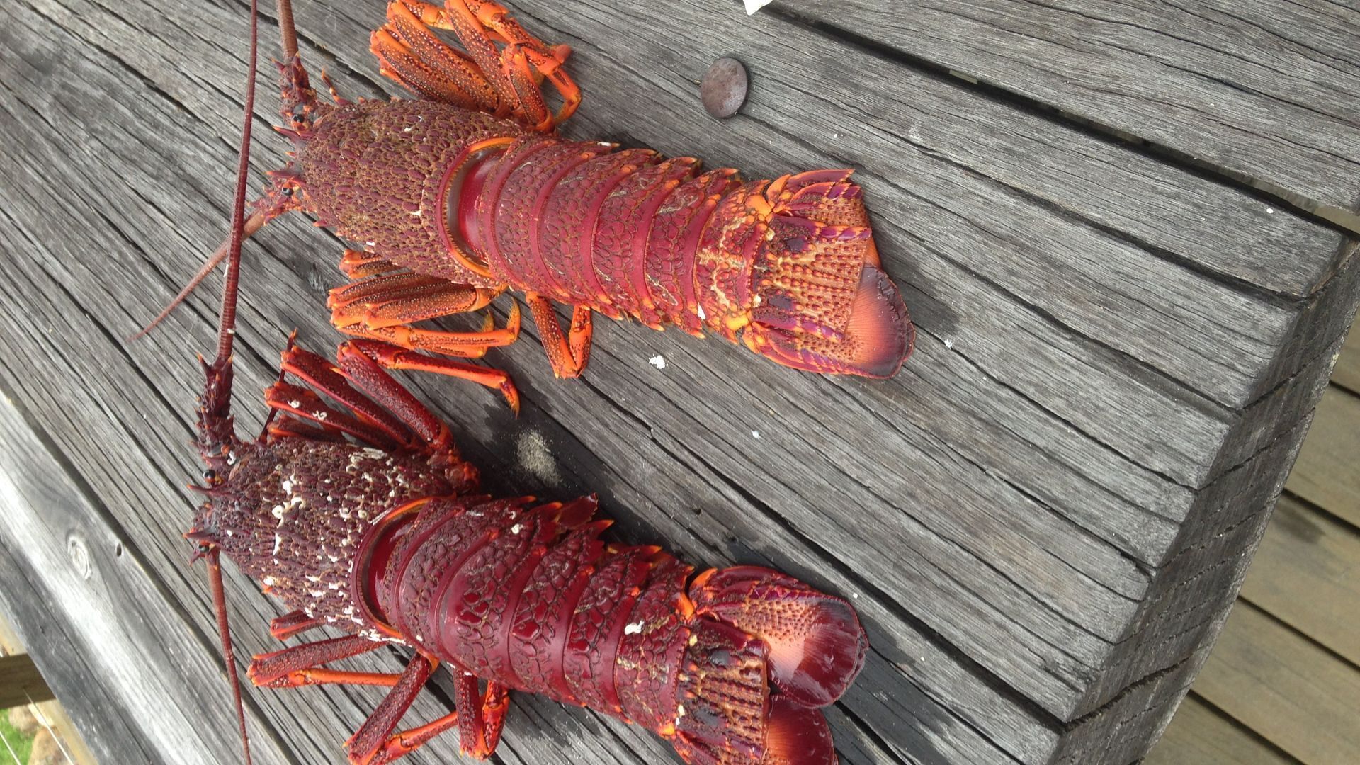Put your feet up and relax by the sea — image 7
