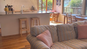 Télévision, cheminée, lecteur de DVD, livres