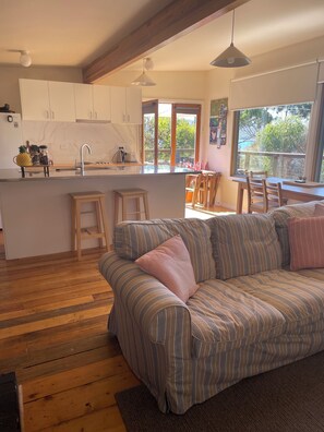 TV, fireplace, DVD player, books