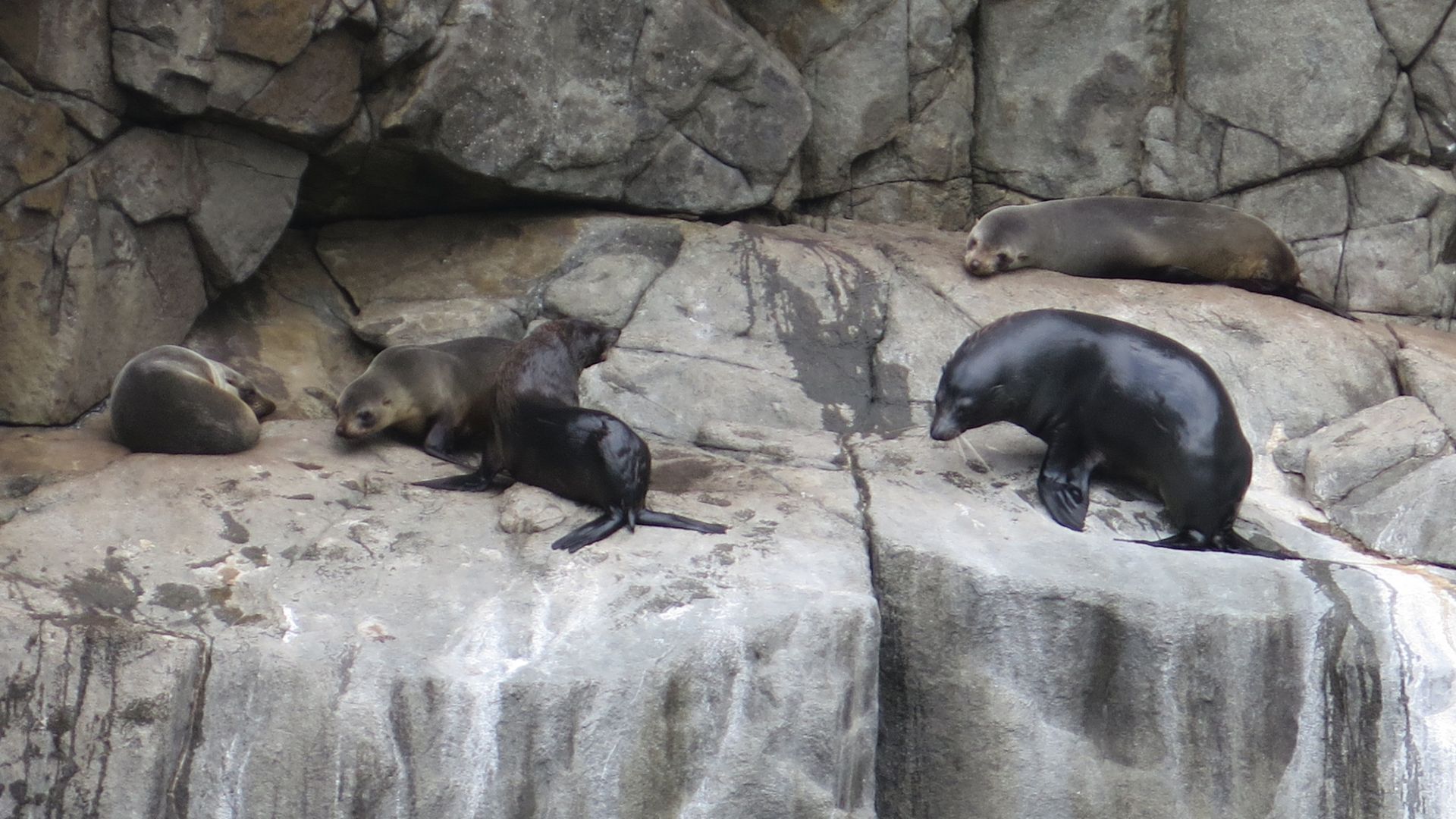 Put your feet up and relax by the sea — image 4