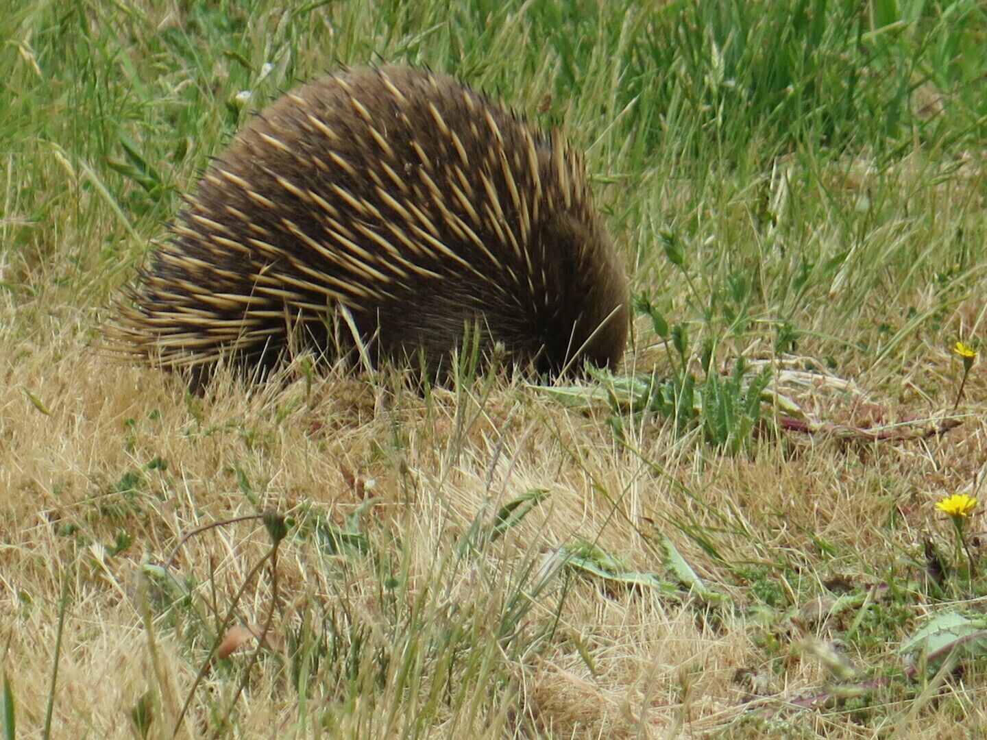 Put your feet up and relax by the sea — image 24