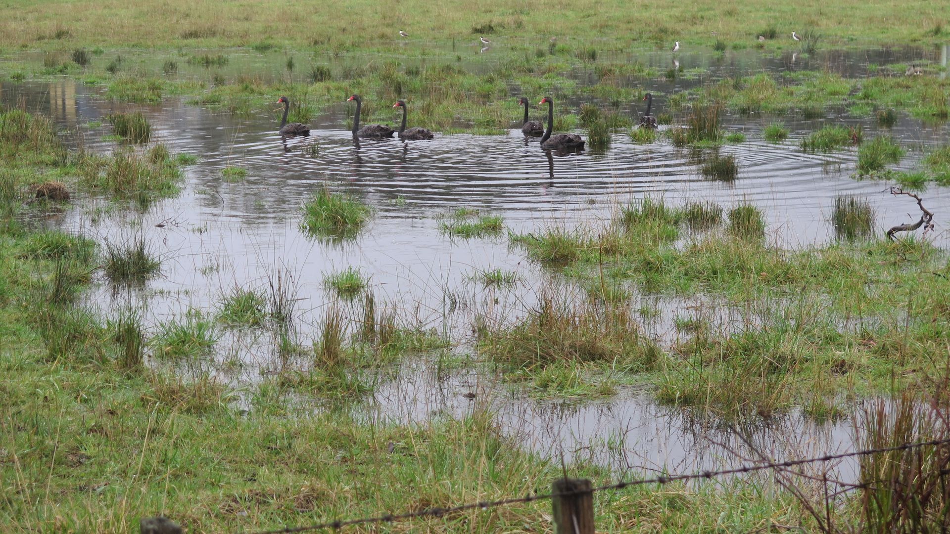 Put your feet up and relax by the sea — image 5