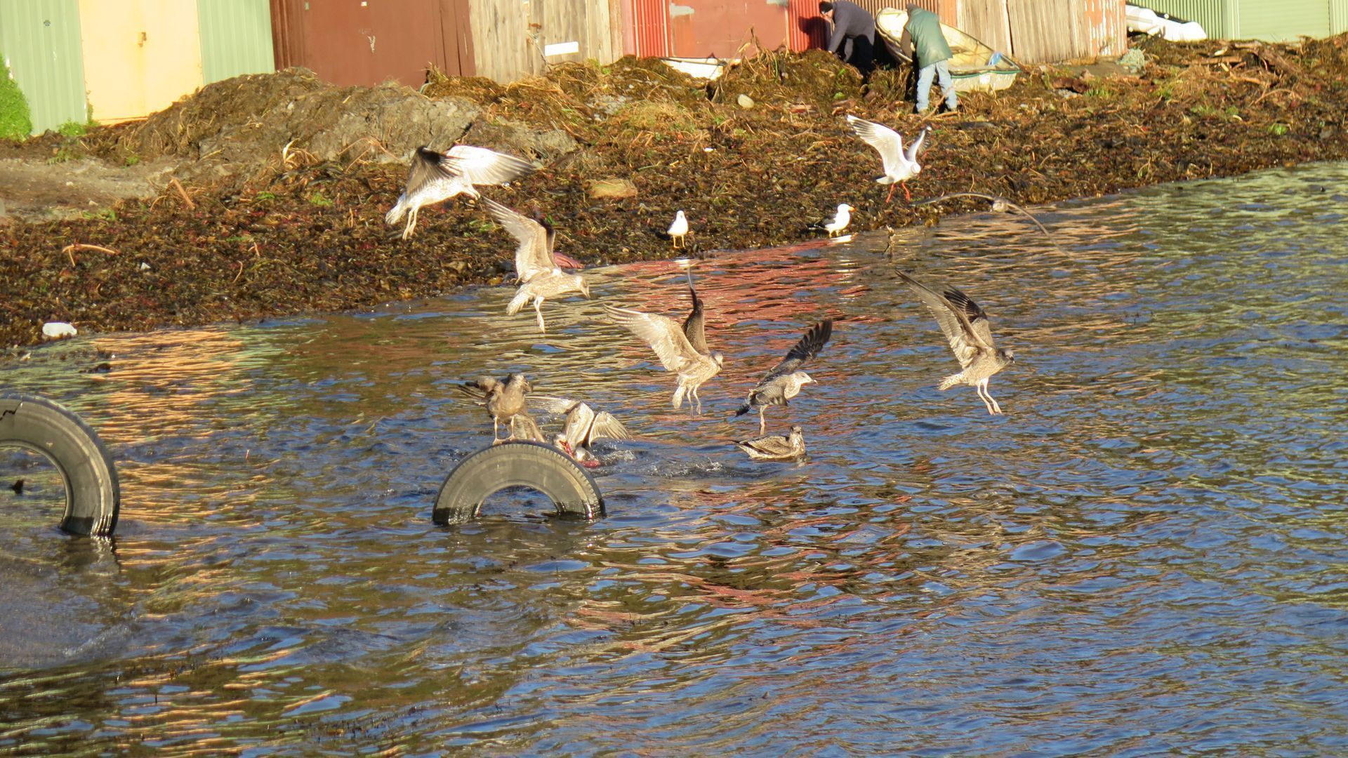 Put your feet up and relax by the sea — image 21