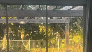 Un patio al aire libre con mesa y sillas, una pérgola y vistas a un jardín a través de un ventanal.
