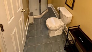 Une salle de bain avec douche, toilettes et porte-serviettes.