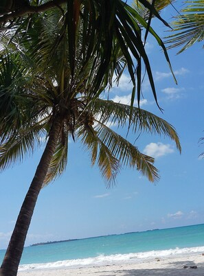 On the beach - Beach Villa on a Pristine Private Pearly Beach kissed by Emerald Indian Ocean (Dar es Salaam)