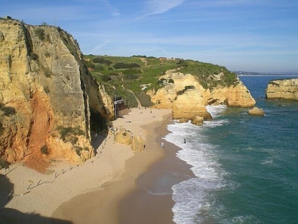 Playa en los alrededores y camastros