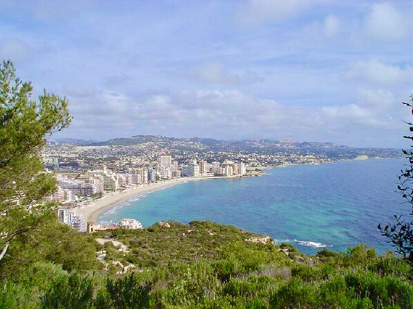 A coastal cityscape with a beach, buildings, and greenery.