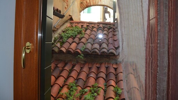A view through a wooden door into a courtyard with terracotta roof tiles and a brick wall.