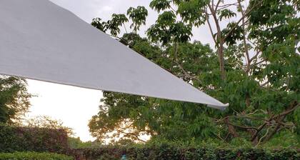 Delfin bnb bed and breakfast