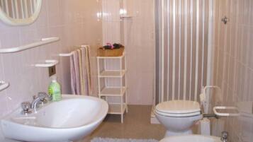 Shower, hair dryer, bidet, towels