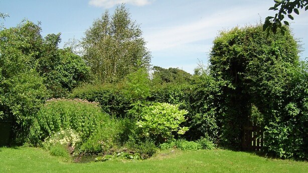 A lush garden with various trees and shrubs, a wooden fence, and a well-maintained lawn. - Lovely renovated Stone Cottage & Garden, great location Central Yorkshire (TADCASTER)