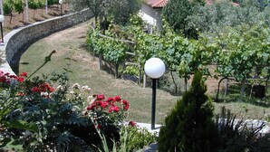 Un vignoble avec des rangées de vignes, un mur de pierre et une maison avec un toit recouvert de tuiles rouges.