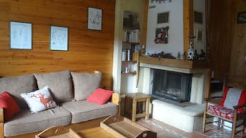Télévision, cheminée, lecteur de DVD, table de tennis de table