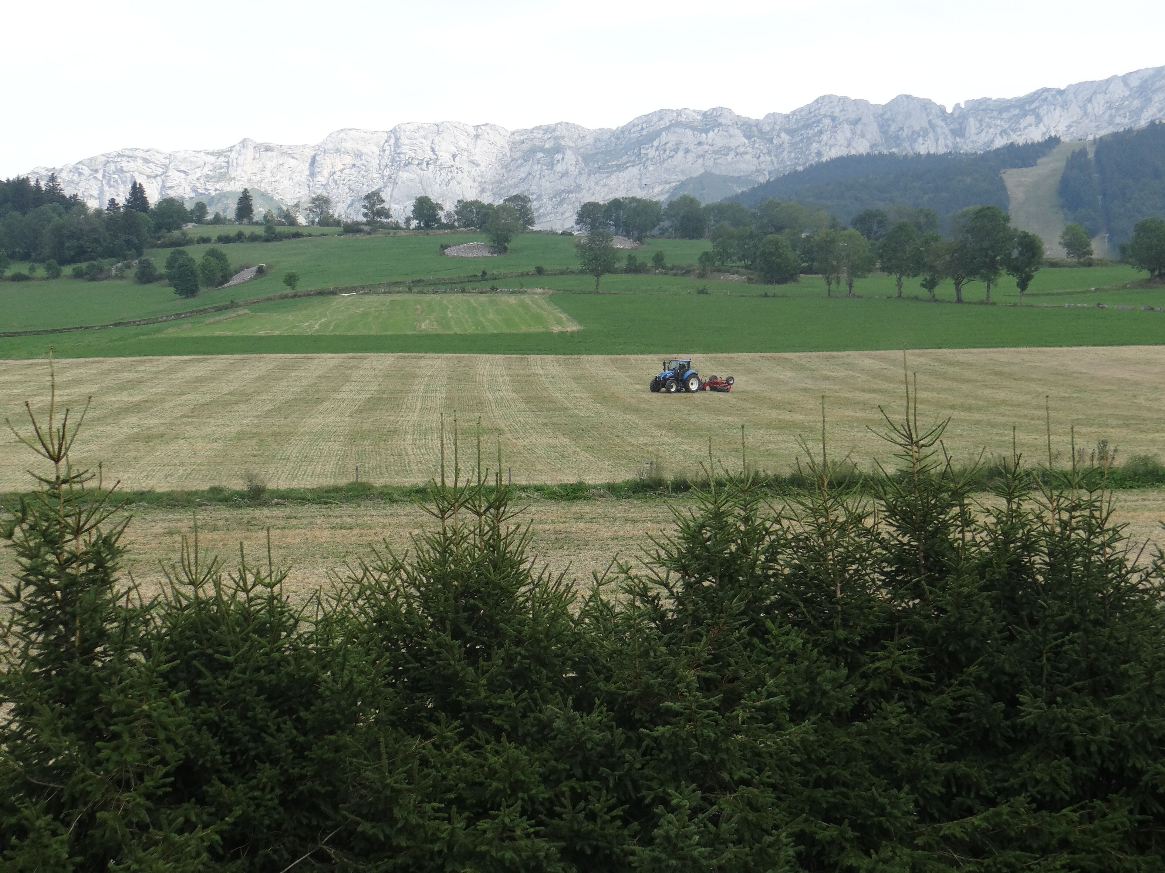 Ländliche Landschaft mit einem Traktor auf einem Feld, Bergen im Hintergrund und üppigem Grün im Vordergrund.