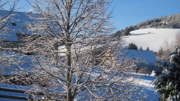 Un paysage enneigé avec une clôture en bois, des arbres sans feuilles et un ciel bleu dégagé.