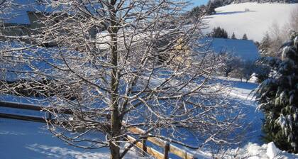 Chalet Classé 4* spacieux , confortable et lumineux.