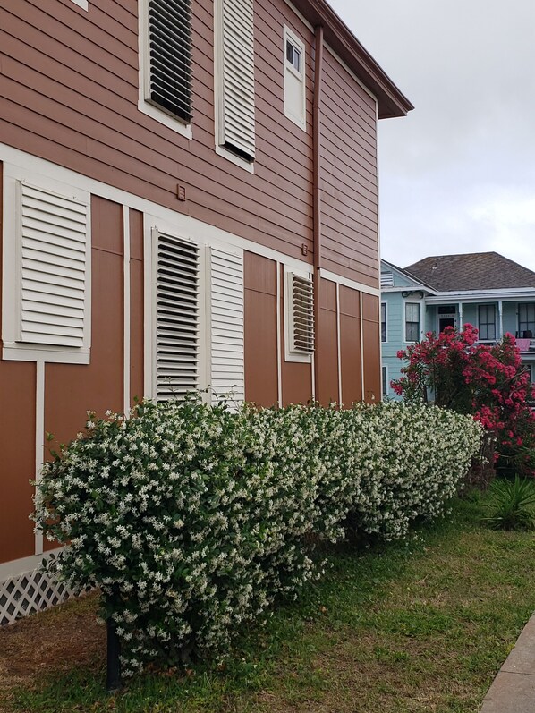 A two-story house with white shutters and a well-maintained garden with flowering shrubs.
