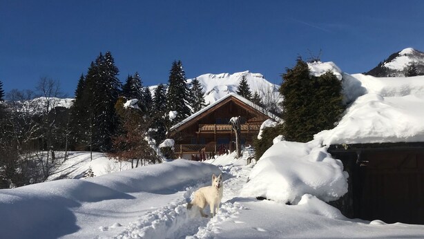 Uma cabana de madeira com telhado coberto de neve, rodeada por árvores e montanhas também cobertas de neve.