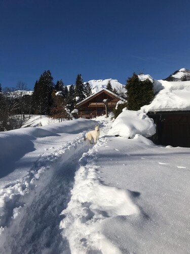 Petit chalet avec vue imprenable sur le Mont-Blanc, à 5 min des pistes de ski
