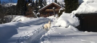Petit chalet avec vue imprenable sur le Mont-Blanc, à 5 min des pistes de ski