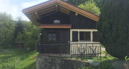 Petit chalet avec vue imprenable sur le Mont-Blanc, Ă  5 min des pistes de ski