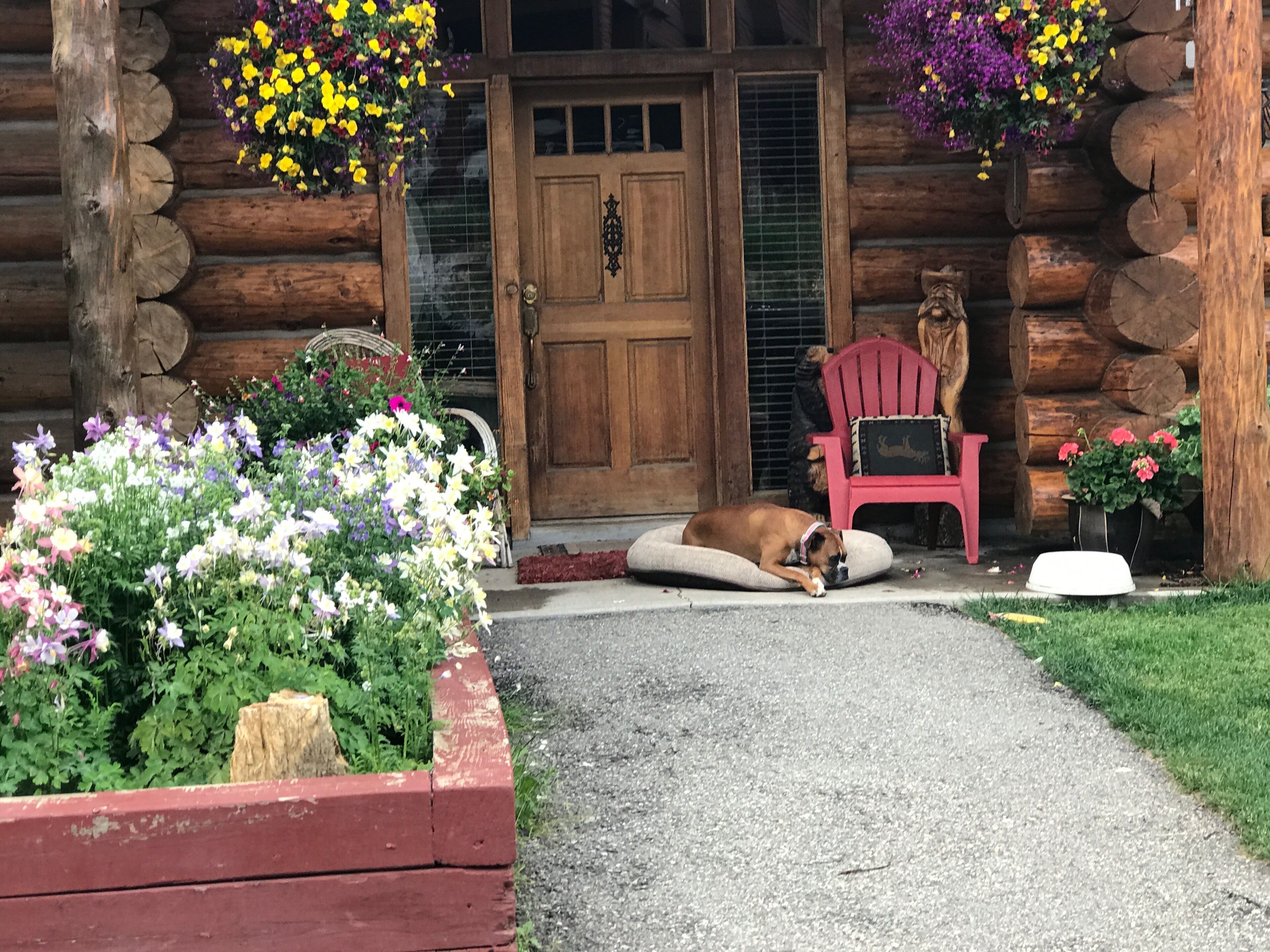 Una cabaña de madera con un perro descansando sobre una alfombra, rodeada de macizos de flores y una silla roja.