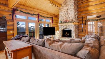 TV, fireplace, books