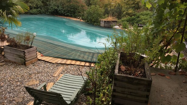 Piscina rodeada de follaje, con un muelle de madera y bancos.