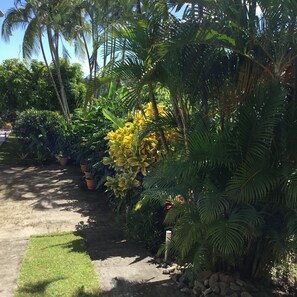 Áreas de la propiedad