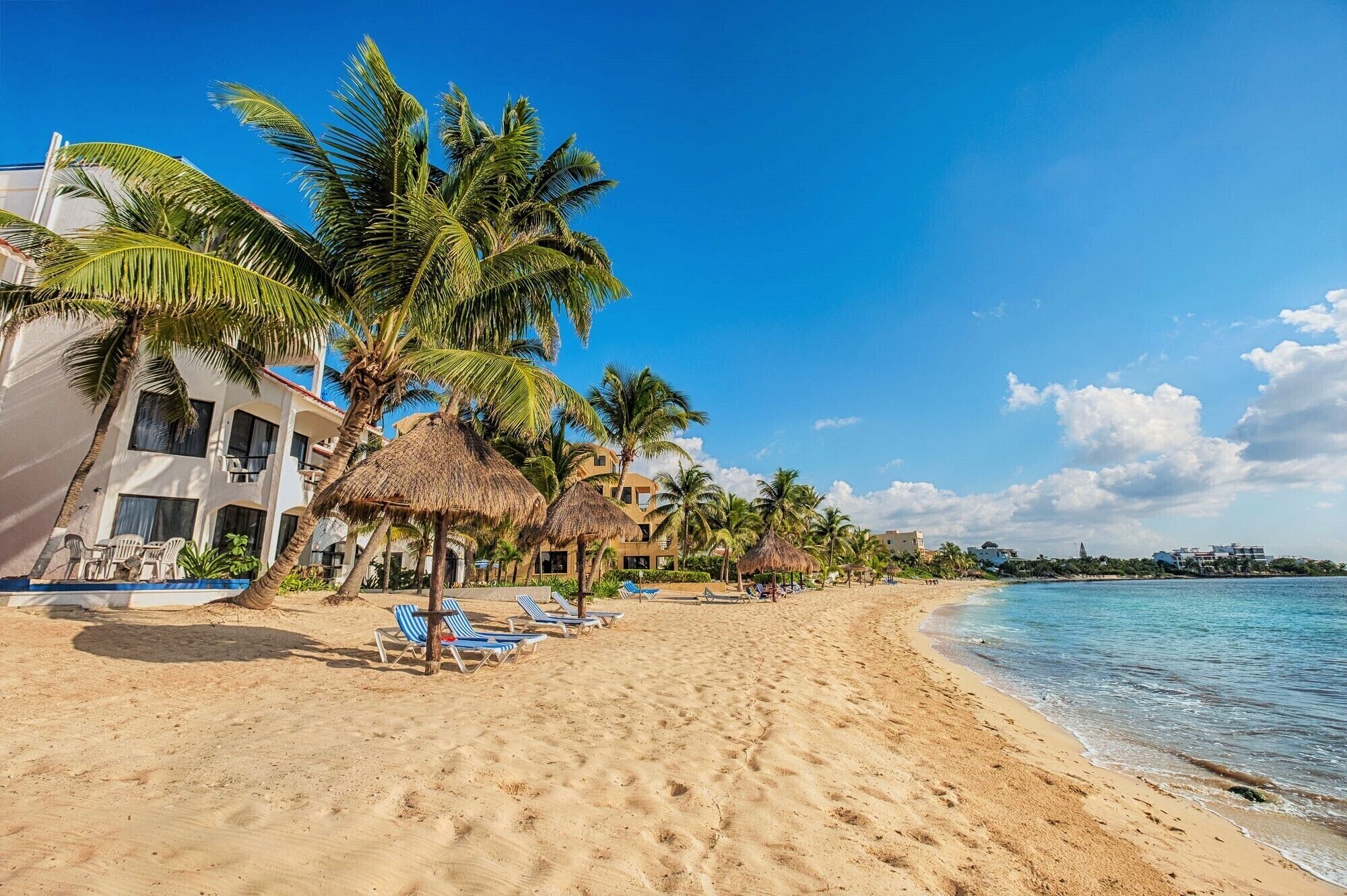 A beach with palm trees, lounge chairs, and a building with a thatched roof.